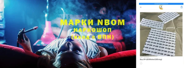 ПСИЛОЦИБИНОВЫЕ ГРИБЫ Горняк