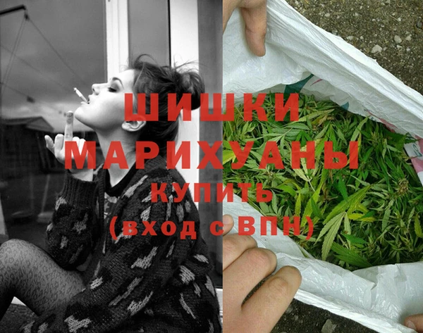 ПСИЛОЦИБИНОВЫЕ ГРИБЫ Горняк