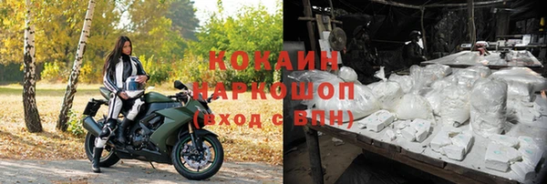 ПСИЛОЦИБИНОВЫЕ ГРИБЫ Горняк