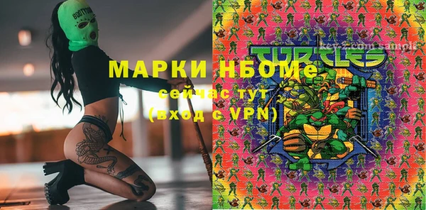 ПСИЛОЦИБИНОВЫЕ ГРИБЫ Горняк