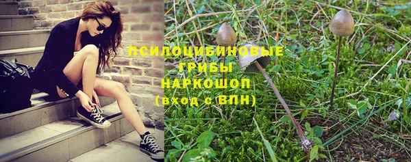 ПСИЛОЦИБИНОВЫЕ ГРИБЫ Горняк