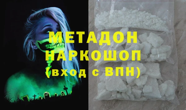 ПСИЛОЦИБИНОВЫЕ ГРИБЫ Горняк